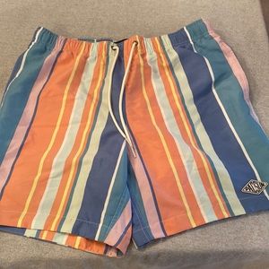 Pacsun Mens Swim Shorts
